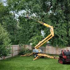 Best Palm Tree Trimming  in Bloomingdale, TN