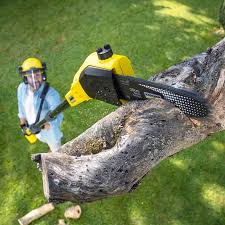Best Lawn Drainage Solutions  in Bloomingdale, TN