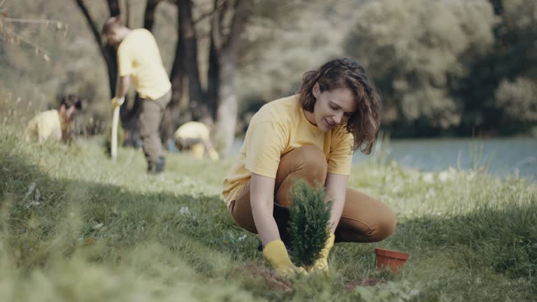 Best Lawn Pest Prevention  in Bloomingdale, TN