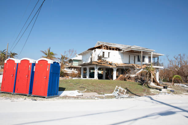 Reliable Bloomingdale, TN Tree Removal Solutions